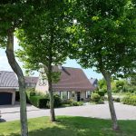 17620144425858404584022938351497